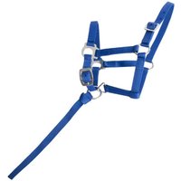 Fohlenhalfter T de T Fohlenhalfter T de T