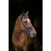 Reittrensen für Pferde Eric Thomas PRO „Wave“ Reittrensen für Pferde Eric Thomas PRO „Wave“