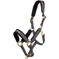 Halfter Back on Track Werano Halfter Back on Track Werano