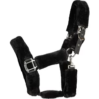 Halfter Back on Track Audrey Halfter Back on Track Audrey