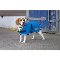 Hundedecke Diego & Louna Polyfun Hundedecke Diego & Louna Polyfun