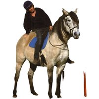 Buch, um das Fohlen vom Boden bis zum Sattel zu erziehen Ekkia Buch, um das Fohlen vom Boden bis zum Sattel zu erziehen Ekkia