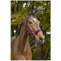 Halfter Equithème Satiné Halfter Equithème Satiné