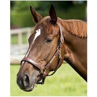 Halfter aus Leder ERIC THOMAS “Pro” Halfter aus Leder ERIC THOMAS “Pro”