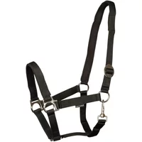 Halfter Harry’s Horse Halfter Harry’s Horse