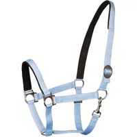 Halfter Harry’s Horse Halfter Harry’s Horse