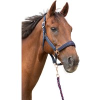 Set aus Halfter und Longiergurt für Pferde Harry’s Horse Just Ride NightSky Set aus Halfter und Longiergurt für Pferde Harry’s Horse Just Ride NightSky