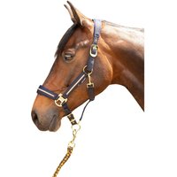 Set aus Halfter und Longiergurt für Pferde Harry’s Horse Valli Set aus Halfter und Longiergurt für Pferde Harry’s Horse Valli
