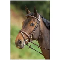 Trensen Reiten HFI Functional Trensen Reiten HFI Functional