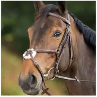 Zaumzeug Reiten HFI Mexican Zaumzeug Reiten HFI Mexican