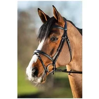 Zaumzeug Reiten HFI Elegant Zaumzeug Reiten HFI Elegant