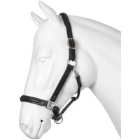 Lederhalfter für Pferde Horka Lederhalfter für Pferde Horka
