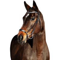 Reittrensen für Pferde mit deutschem Reithalfter Horze Bergen Reittrensen für Pferde mit deutschem Reithalfter Horze Bergen