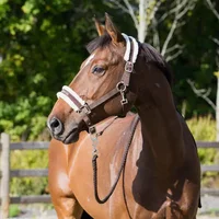 Halfter Horze Howard Halfter Horze Howard