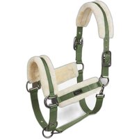 Gepolstertes Halfter Horze Marquess Gepolstertes Halfter Horze Marquess