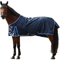 Outdoor-Decke Horze Glasgow 100g Outdoor-Decke Horze Glasgow 100g