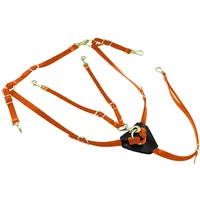 Halsung für Pferde aus Biothan mit Martingal Lakota Halsung für Pferde aus Biothan mit Martingal Lakota