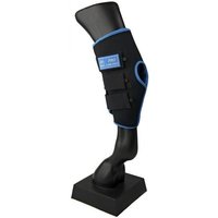 Sprunggelenkschoner für Pferde Lami-Cell Ice Boots Sprunggelenkschoner für Pferde Lami-Cell Ice Boots