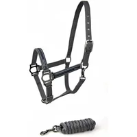 Set aus Halfter und Longiergurt für Pferde Lami-Cell Classical Set aus Halfter und Longiergurt für Pferde Lami-Cell Classical