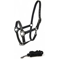 Set aus Halfter und Longiergurt für Pferde Lami-Cell Classical Set aus Halfter und Longiergurt für Pferde Lami-Cell Classical