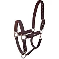 Halfter Lami-Cell Aurora Halfter Lami-Cell Aurora