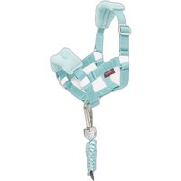 Halfter und Schnur für Plüschtiere LeMieux Toy Pony Vogue Halfter und Schnur für Plüschtiere LeMieux Toy Pony Vogue