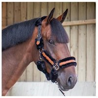 Halfter für Pferd Pénélope Soft Halfter für Pferd Pénélope Soft
