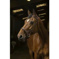 Trensen Reiten Norton Pro Confort Trensen Reiten Norton Pro Confort