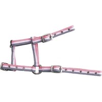 Verstellbares Fohlenhalfter Norton Verstellbares Fohlenhalfter Norton