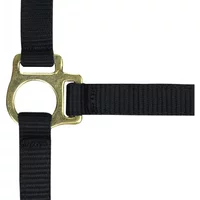 Fohlenhalfter und Longiergurt Norton Fohlenhalfter und Longiergurt Norton