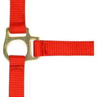 Fohlenhalfter und Longiergurt Norton Fohlenhalfter und Longiergurt Norton