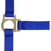 Fohlenhalfter und Longiergurt Norton Fohlenhalfter und Longiergurt Norton