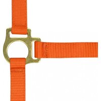 Fohlenhalfter und Longiergurt Norton Fohlenhalfter und Longiergurt Norton