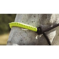 Halfter Norton Halfter Norton