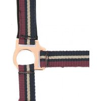 Halfter Norton Brillant Halfter Norton Brillant