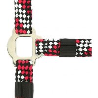 Halfter Norton Tressé Halfter Norton Tressé