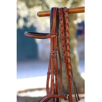 Zügel Pénélope Zügel Pénélope