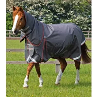 Wasserdichte Outdoor-Decke mit Halsteil Premier Equine Buster 150 g Wasserdichte Outdoor-Decke mit Halsteil Premier Equine Buster 150 g