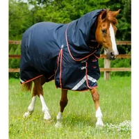 Wasserdichte Outdoor-Decke mit Halsteil Premier Equine Buster 100 g Wasserdichte Outdoor-Decke mit Halsteil Premier Equine Buster 100 g
