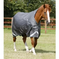 Wasserdichte Outdoor-Decke Premier Equine Buster Hardy 0 g Wasserdichte Outdoor-Decke Premier Equine Buster Hardy 0 g