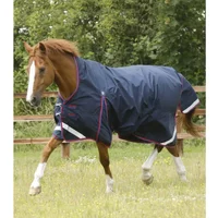 Wasserdichte Outdoor-Decke Premier Equine Buster Hardy 0 g Wasserdichte Outdoor-Decke Premier Equine Buster Hardy 0 g