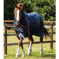 Wasserdichte Outdoor-Decke mit Halsteil Premier Equine Buster 50 g Wasserdichte Outdoor-Decke mit Halsteil Premier Equine Buster 50 g