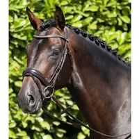 Anatomisch geformte Trense mit kombiniertem Reithalfter Premier Equine Stellazzio Anatomisch geformte Trense mit kombiniertem Reithalfter Premier Equine Stellazzio