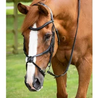 Trense Reithalfter mit gekreuztem Reithalfter Premier Equine Glorioso Trense Reithalfter mit gekreuztem Reithalfter Premier Equine Glorioso