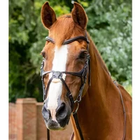 Trense Reithalfter mit gekreuztem Reithalfter Premier Equine Glorioso Trense Reithalfter mit gekreuztem Reithalfter Premier Equine Glorioso