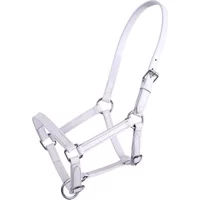 Lederhalfter für Fohlen Q-essentials Chico Lederhalfter für Fohlen Q-essentials Chico