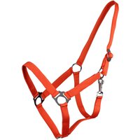 Halfter mit Schiebemechanismus Q-essentials Halfter mit Schiebemechanismus Q-essentials