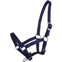 Halfter für Fohlen Q-essentials Halfter für Fohlen Q-essentials