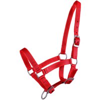 Halfter für Fohlen Q-essentials Halfter für Fohlen Q-essentials