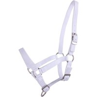 Halfter für Fohlen Q-essentials Halfter für Fohlen Q-essentials